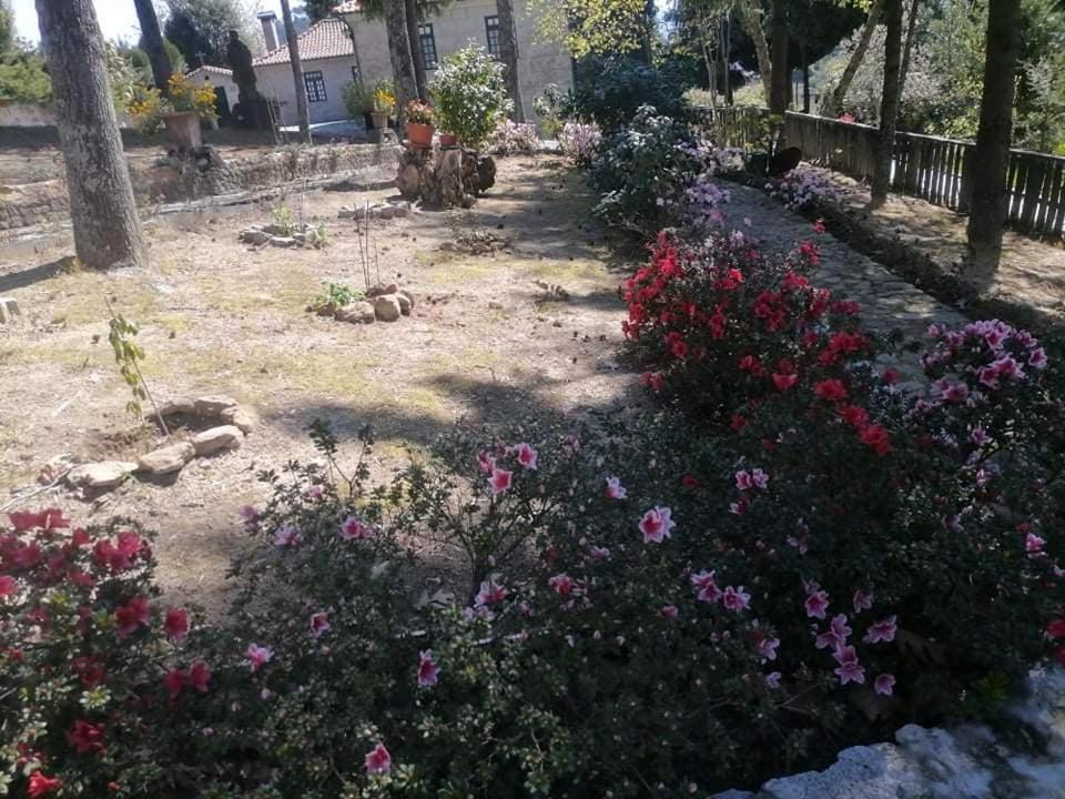 Quinta Da Cartida Villa Santa Marinha do Zezere ภายนอก รูปภาพ